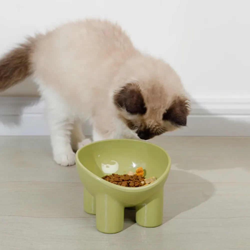 Comedouro Elevado para Gatos, Cães e Filhotes com Suporte para Ração e Água