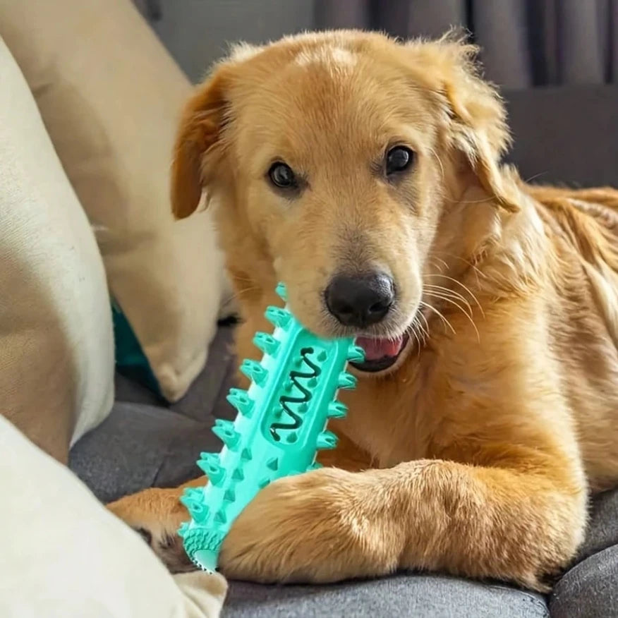 Presente para cachorro - Brinquedo para mastigar dentes, fornecendo cuidados bucais completos para cães que amam mastigar e prevenir a acumulação do tártaro