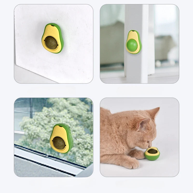 Catnip natural saudável rotativo parede stick-on bola gatos dentes limpeza bola de catnip brinquedos gato catnip coçar suprimentos