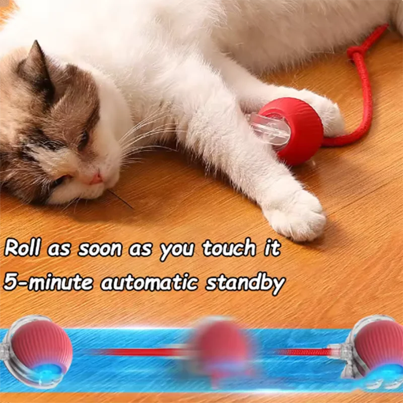 Os brinquedos para gatos quentes são provocando automaticamente bolas de gato e palitos e carrapatos para gatos e brinquedos para animais de estimação resistentes ao desgaste e morder