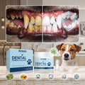 Pó Natural para Cuidado Oral de Animais de Estimação para Limpeza dos Dentes de Cães, Refrescar o Hálito e Aliviar as Gengivas com Probióticos para Saúde Intestinal Pet Clean
