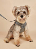 Coleira Peitoral para Cães Pequenos e Médios, Anti-Puxão, Conjunto de Coleira e Guia para Filhotes, Coleira Peitoral de Vestir para Caminhada, Corrida e Treinamento