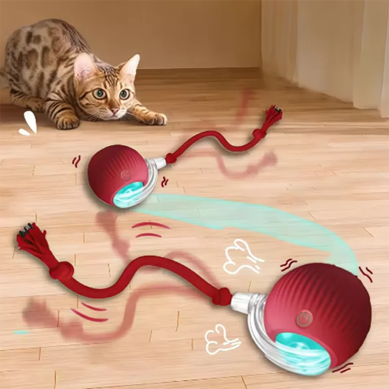 Os brinquedos para gatos quentes são provocando automaticamente bolas de gato e palitos e carrapatos para gatos e brinquedos para animais de estimação resistentes ao desgaste e morder