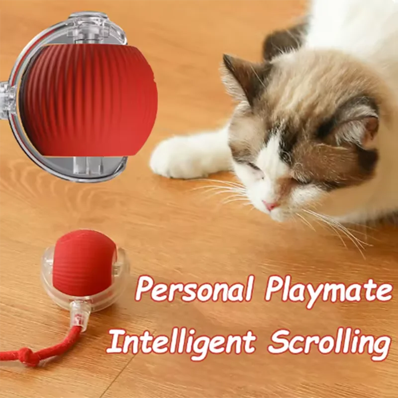 Os brinquedos para gatos quentes são provocando automaticamente bolas de gato e palitos e carrapatos para gatos e brinquedos para animais de estimação resistentes ao desgaste e morder
