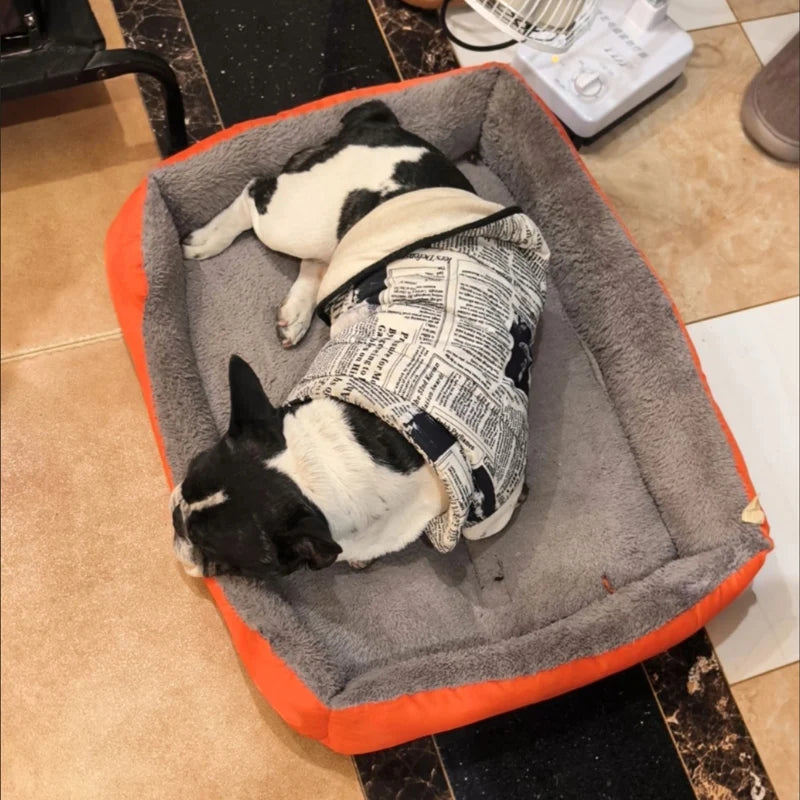 Camas para Cães em Cores Doces, Colchões Vibrantes para Animais de Estimação, Sacos de Dormir Quentes para Gatos e Cães Grandes, Médios e Pequenos