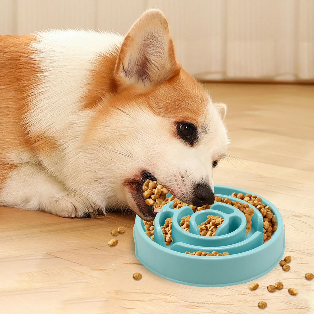 Tigela de comida lenta para animais de estimação – antiderrapante e durável – adequada para animais de estimação de todos os tamanhos