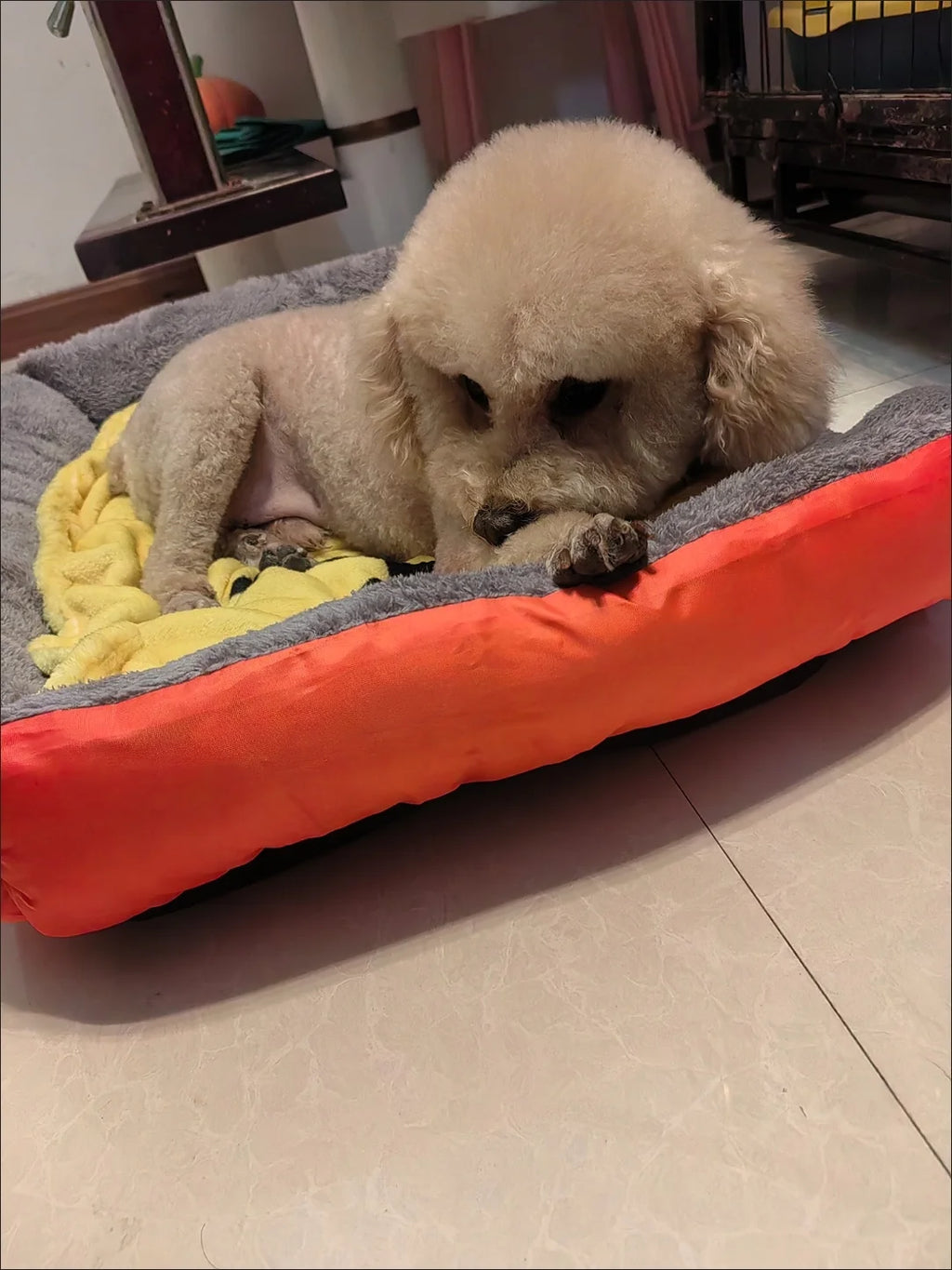 Camas para Cães em Cores Doces, Colchões Vibrantes para Animais de Estimação, Sacos de Dormir Quentes para Gatos e Cães Grandes, Médios e Pequenos