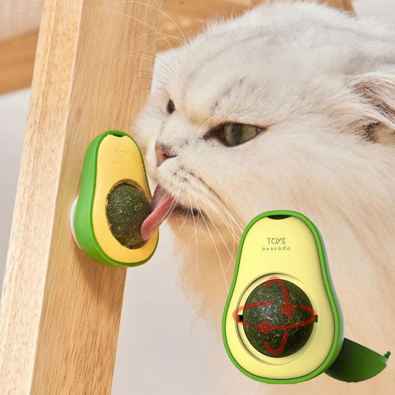 Catnip natural saudável rotativo parede stick-on bola gatos dentes limpeza bola de catnip brinquedos gato catnip coçar suprimentos
