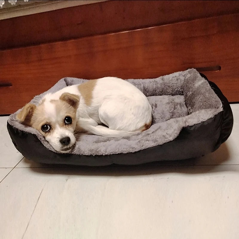 Camas para Cães em Cores Doces, Colchões Vibrantes para Animais de Estimação, Sacos de Dormir Quentes para Gatos e Cães Grandes, Médios e Pequenos